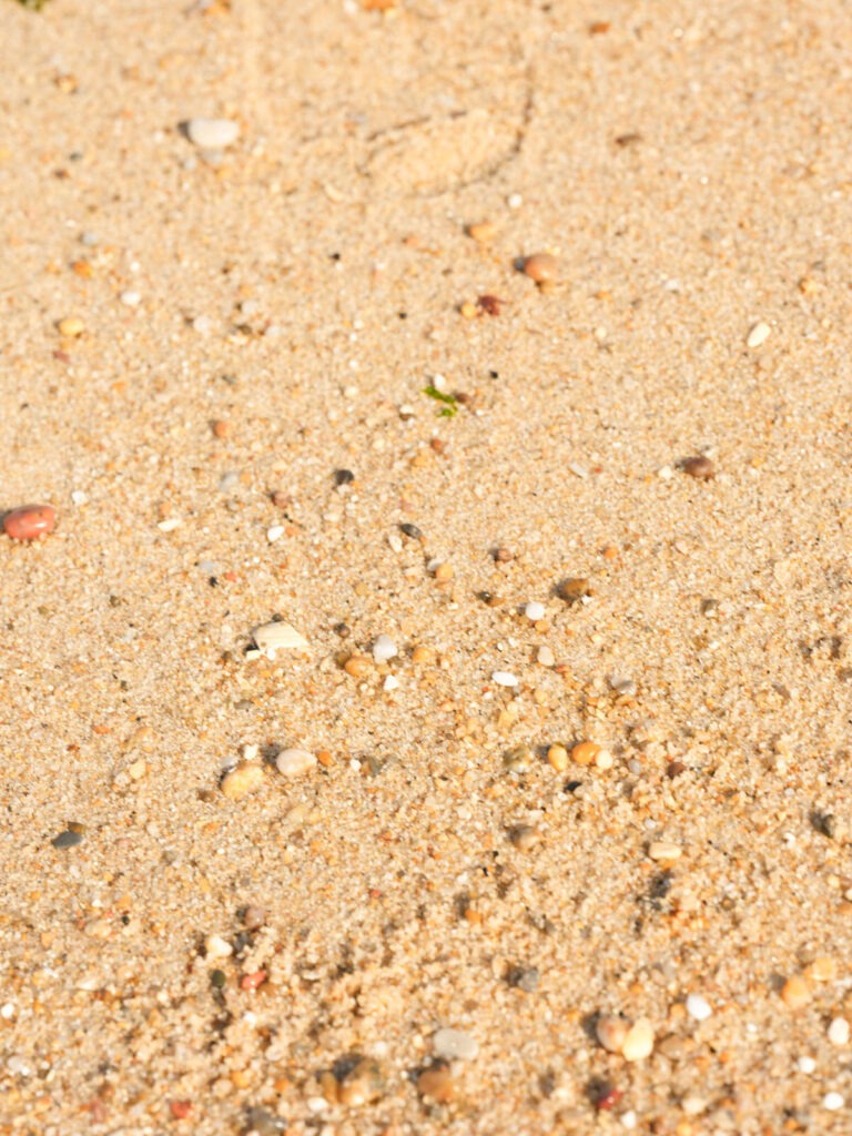 Centro Social São Felix da Marinha – Praia2024