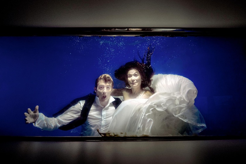 Noivo e noiva surpresos em aquário, expressão de espanto e alegria num ambiente mágico e romântico