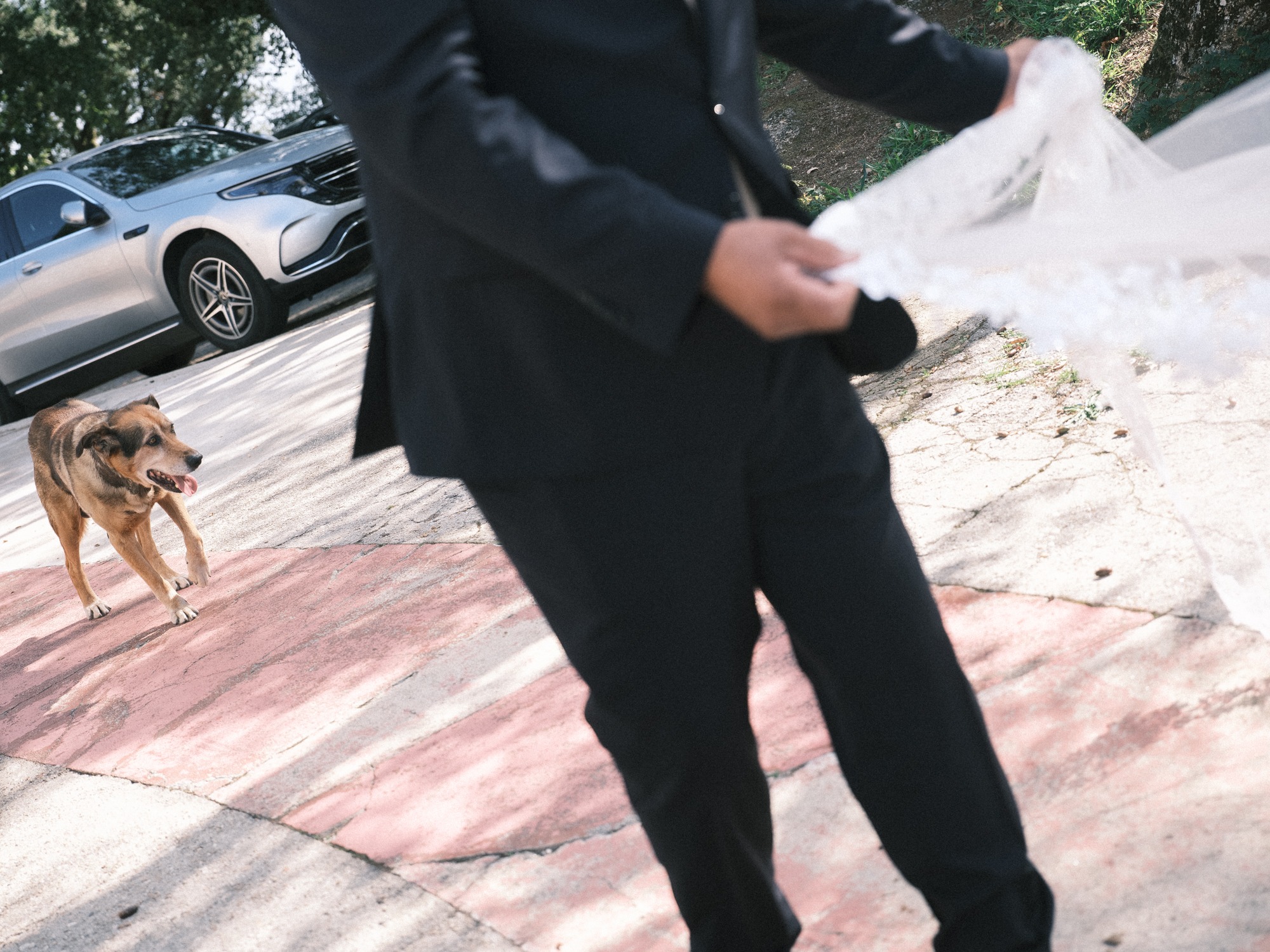 casamento de Diana e André na Colina do Romão (5)